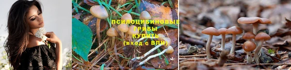 первитин Абаза