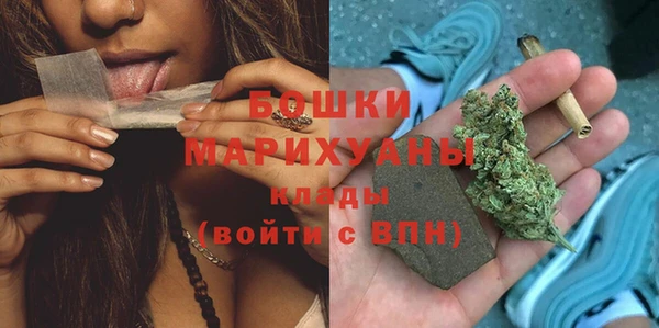 сатива Абинск
